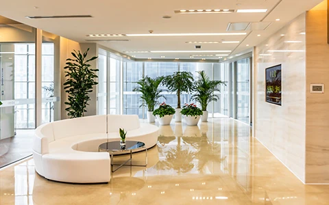 China Merchants Securities | Precision & Elegance for Financial Leadership