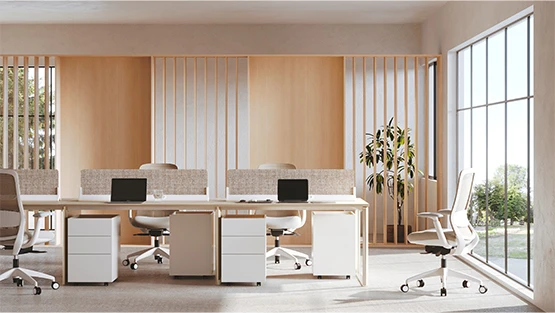 DP-PYE-Workstation