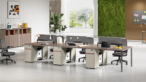 WS-LAS-Workstation