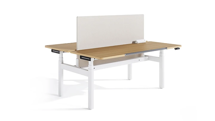 Pro2-Basic model