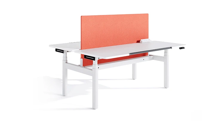 Pro2-Basic model